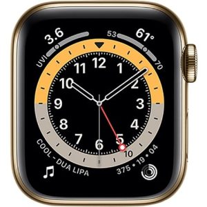Apple Watch Series 6 Gold Stainless Steel, 40mm (GPS + Cellular)