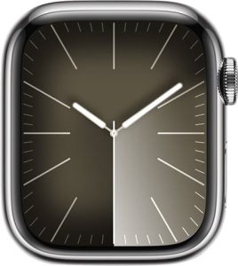 Apple Watch Series 9 Silver Stainless Steel, 41mm (GPS + Cellular)